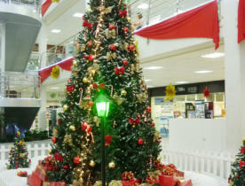 natal